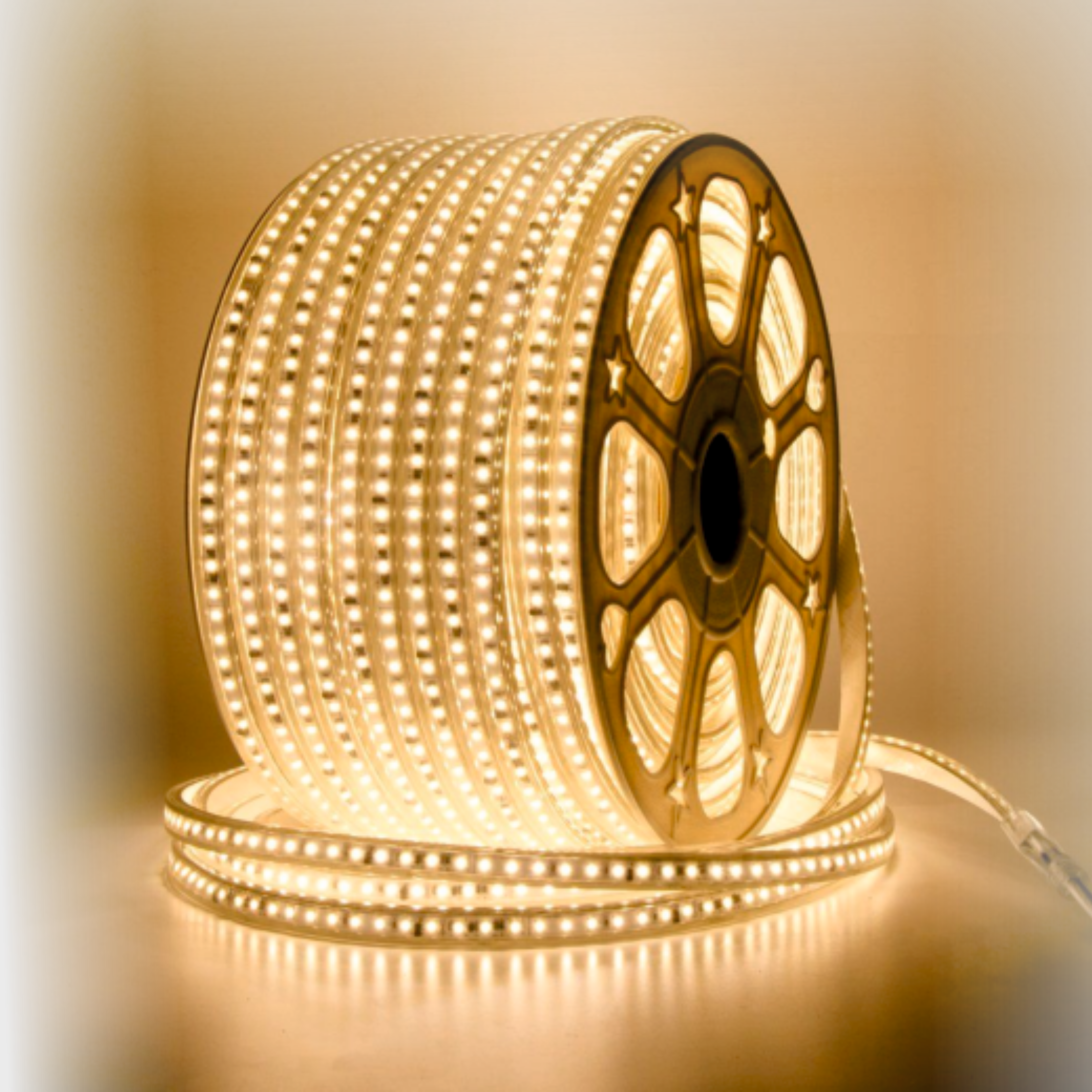 ROPE LIGHT 2835 120 LED (2 PLUGS INSIDE)
