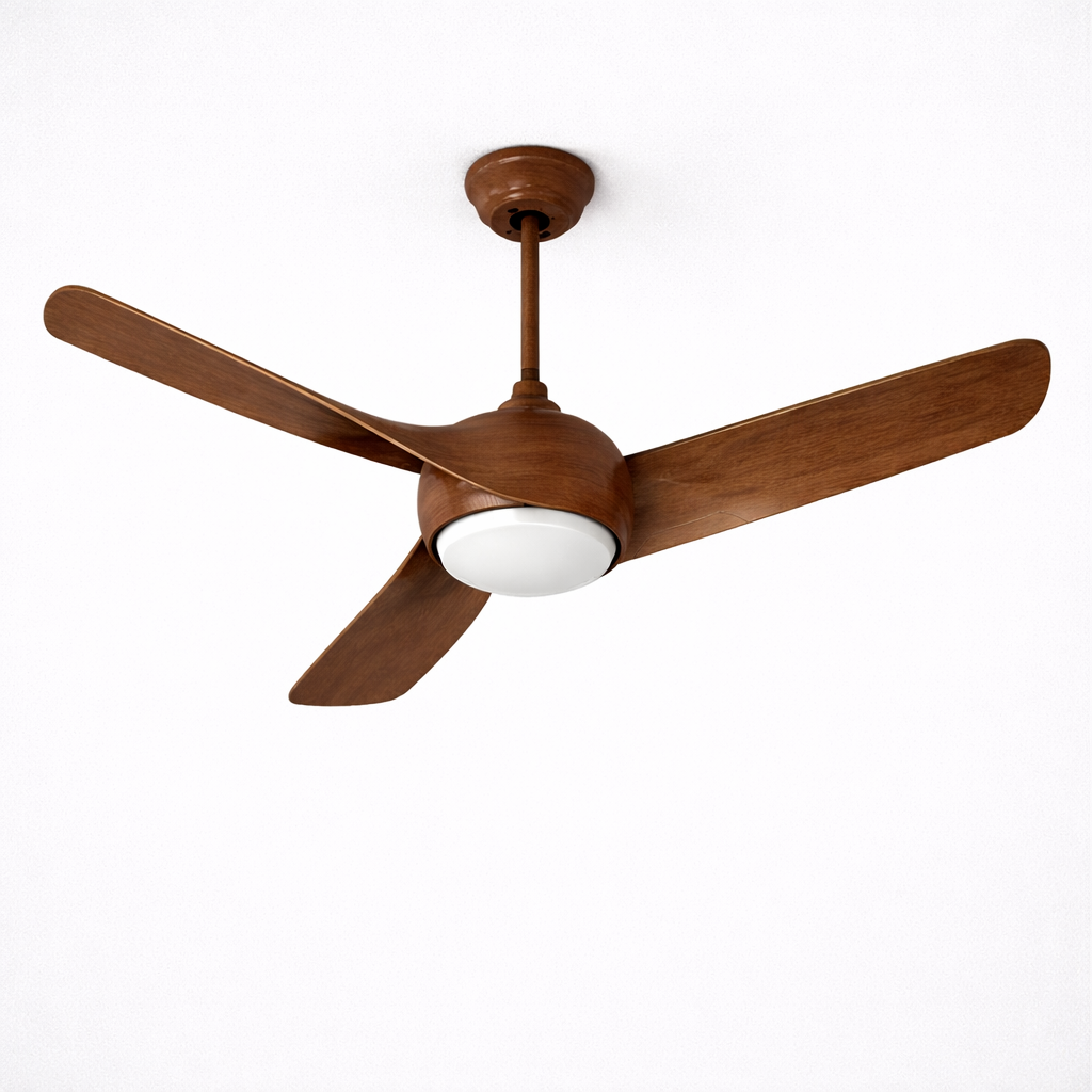 ZARA FAN 50-YJ-308