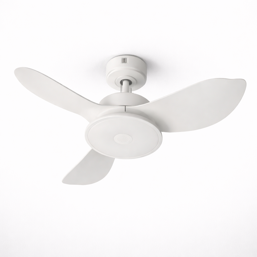 ZARA FAN 36YJ656