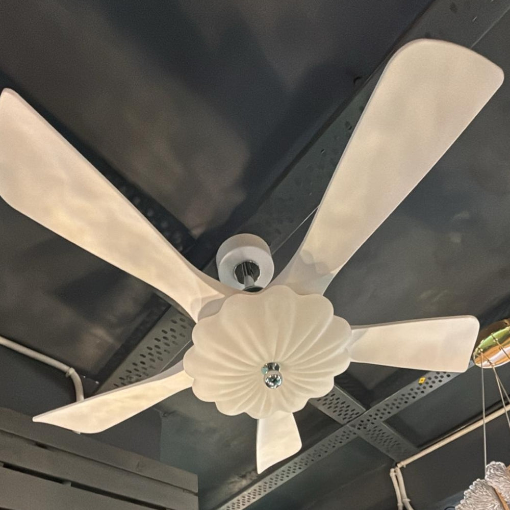 ZYS3025-5Y 47"
