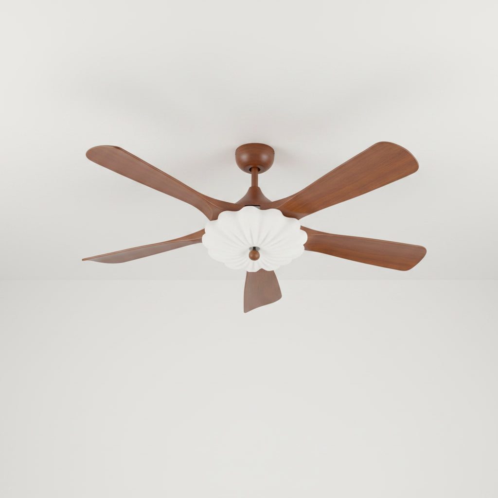 ZYS3025-5Y 47"