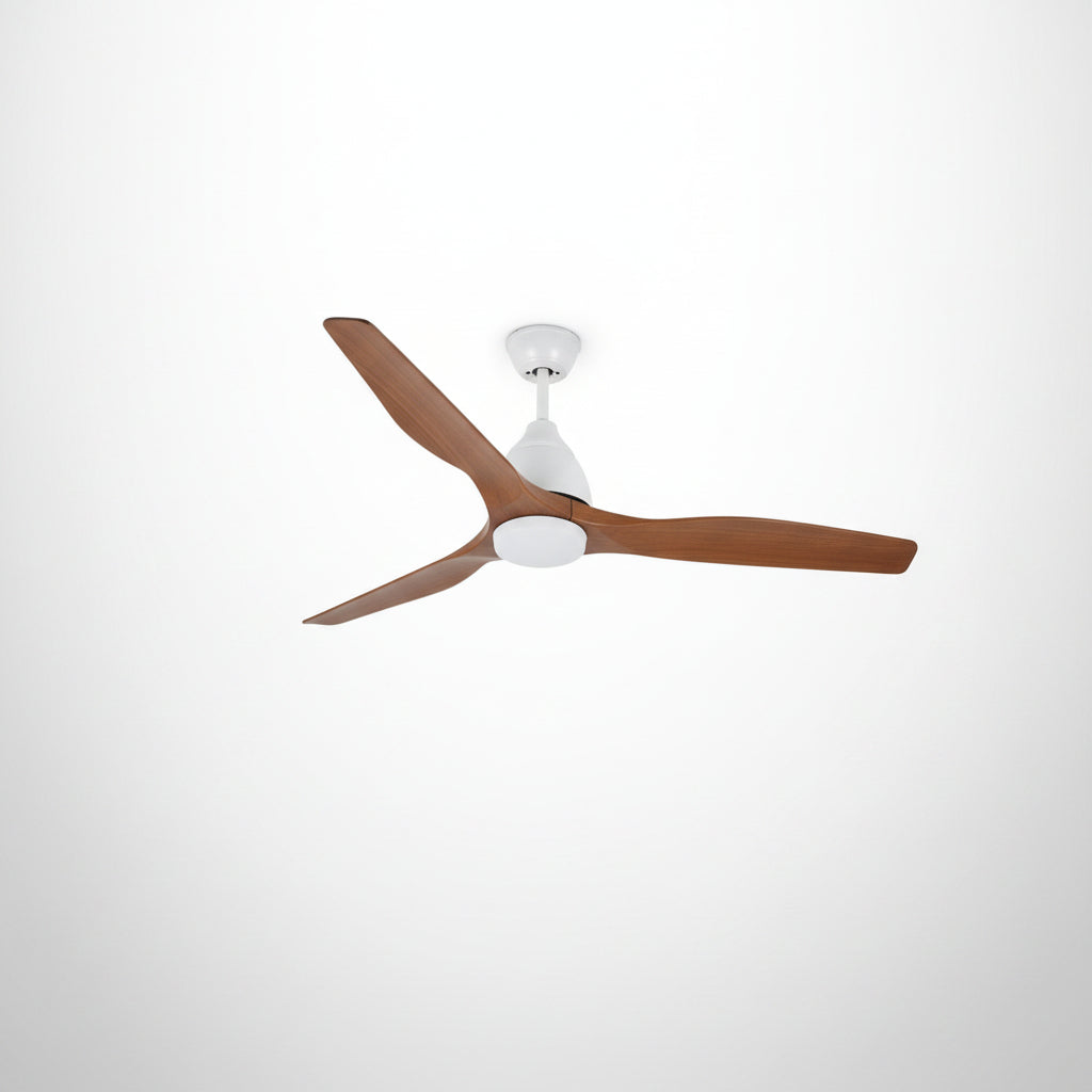 ZARA FAN 316