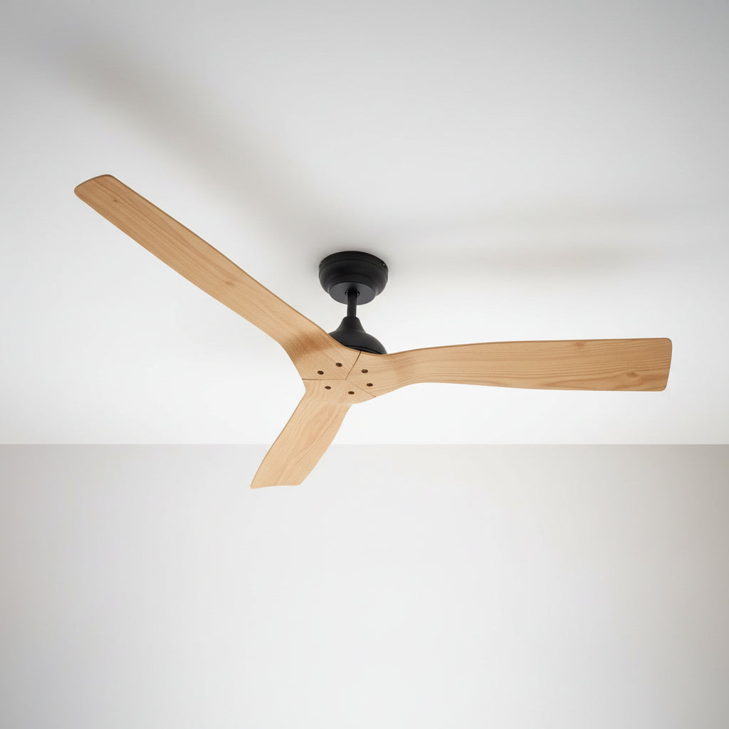 ZARA FAN 52 YF T-812