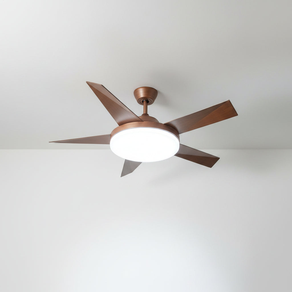 ZARA FAN 46A51