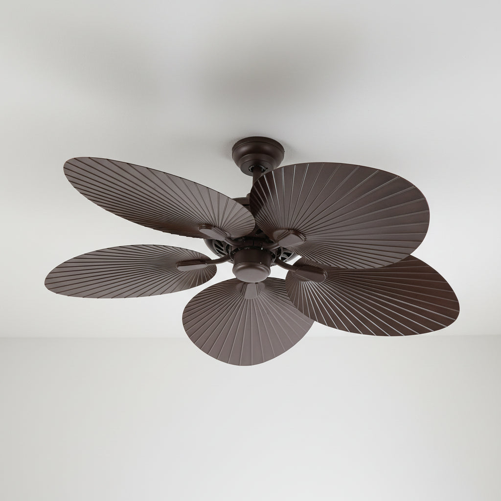 ZARA FAN A71